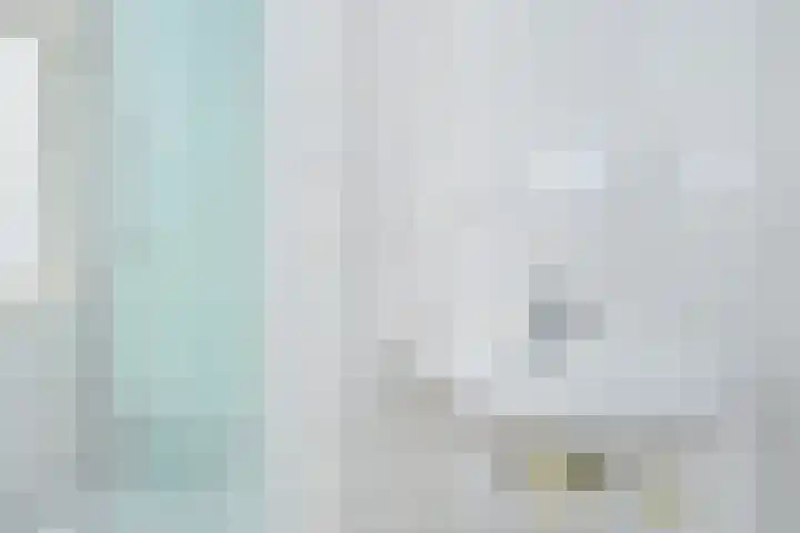 Anjelierstraat 32 Den Haag thumbnail 19
