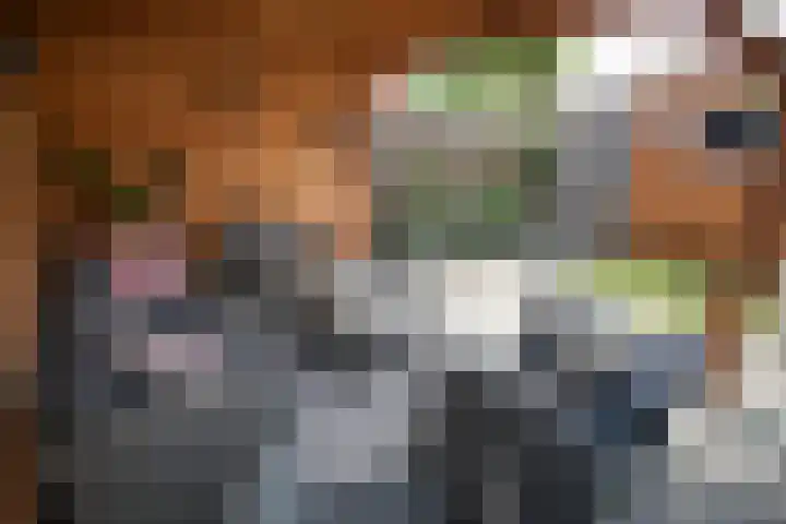 Anjelierstraat 36 Wierden thumbnail 14