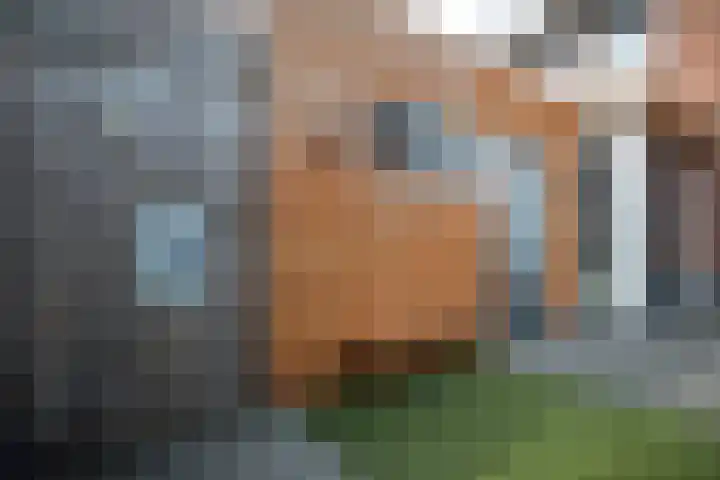 Anjelierstraat 36 Wierden thumbnail 17