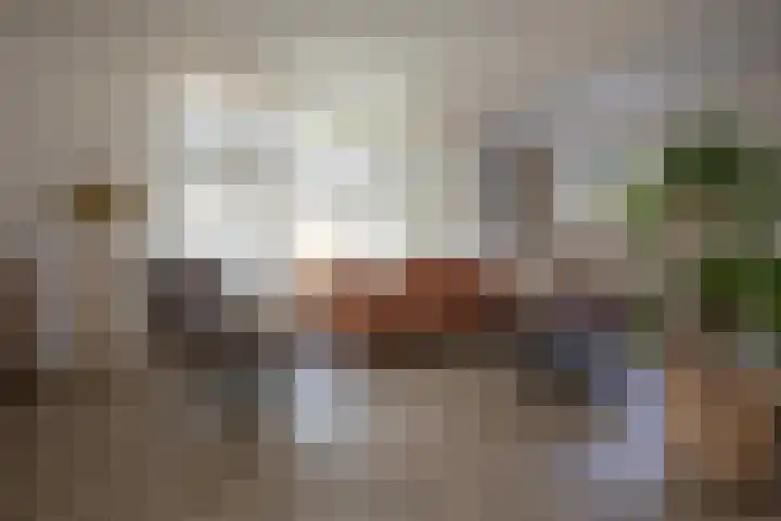 Anjelierstraat 36 Wierden thumbnail 20