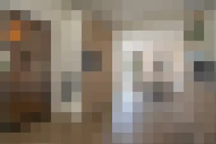 Anjelierstraat 36 Wierden thumbnail 21