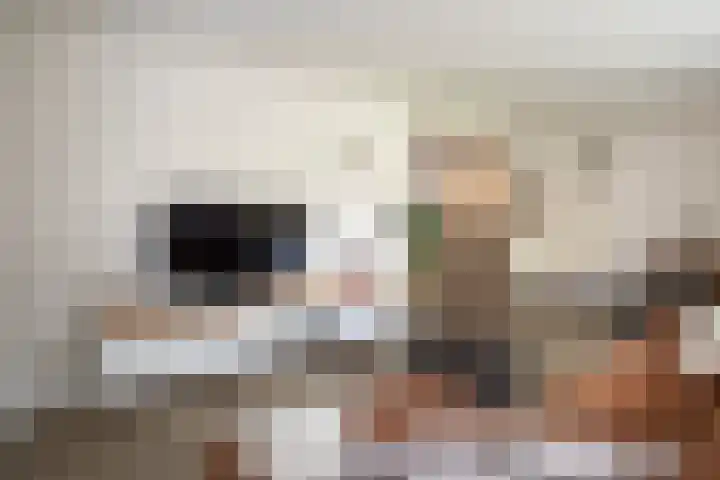 Anjelierstraat 36 Wierden thumbnail 22