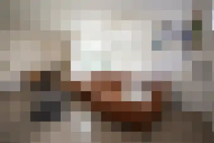 Anjelierstraat 36 Wierden thumbnail 23