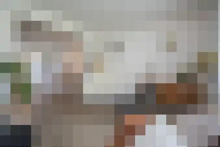 Anjelierstraat 36 Wierden thumbnail 24