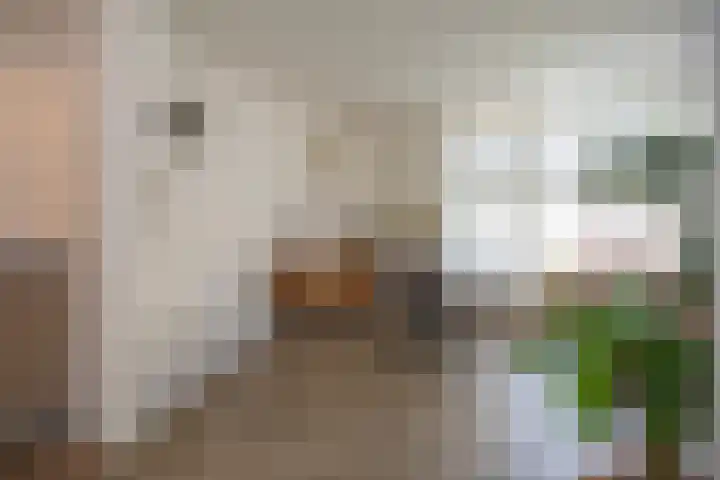 Anjelierstraat 36 Wierden thumbnail 25