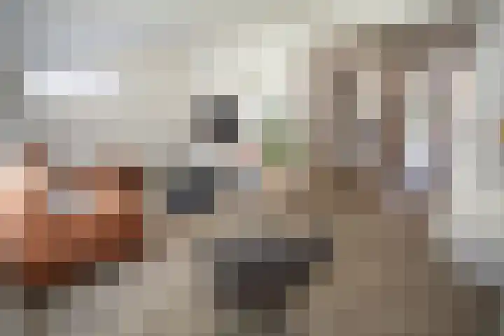 Anjelierstraat 36 Wierden thumbnail 26