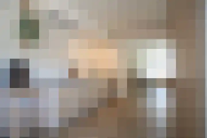 Anjelierstraat 36 Wierden thumbnail 29