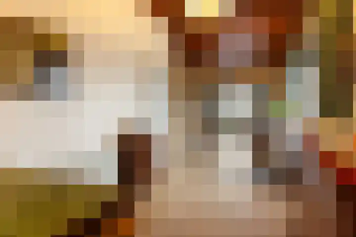 Anjelierstraat 36 Wierden thumbnail 33