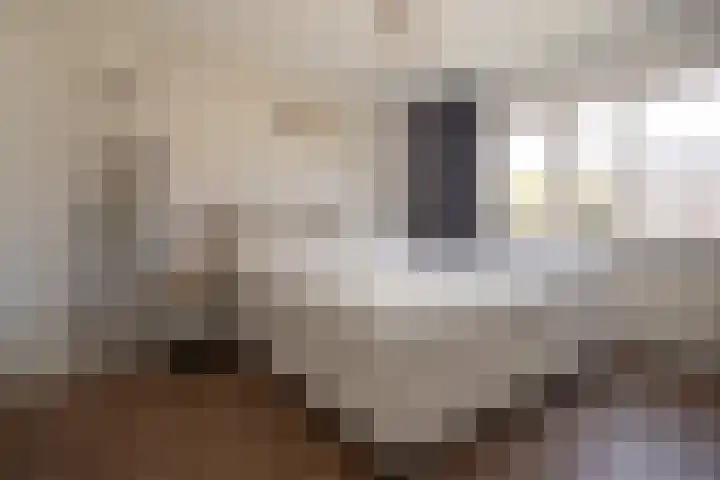 Anjelierstraat 36 Wierden thumbnail 37
