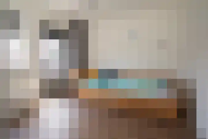 Anjelierstraat 36 Wierden thumbnail 41