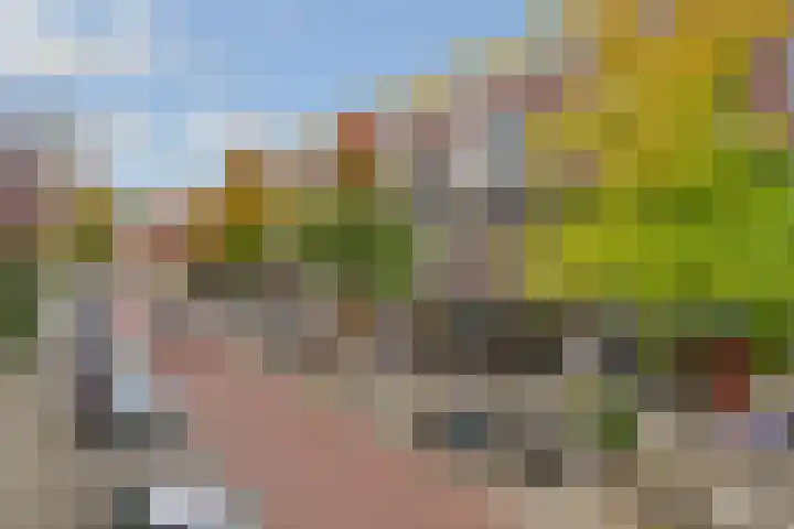 Anjelierstraat 36 Wierden thumbnail 42