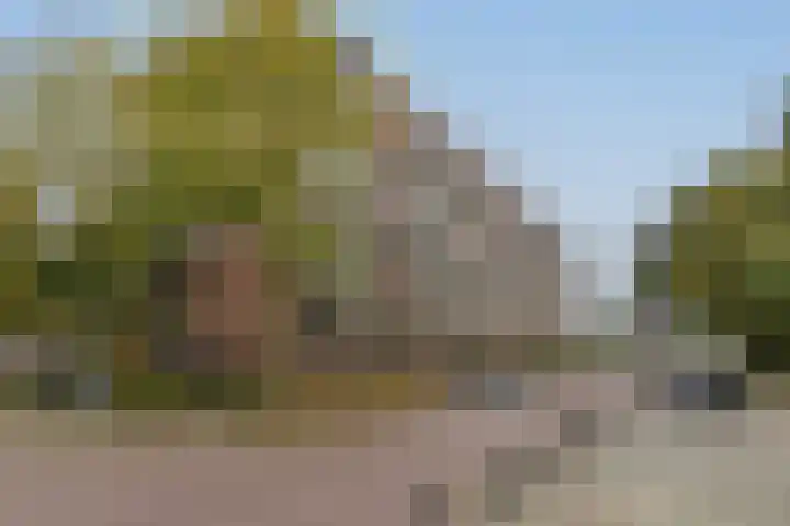 Anjelierstraat 36 Wierden thumbnail 43