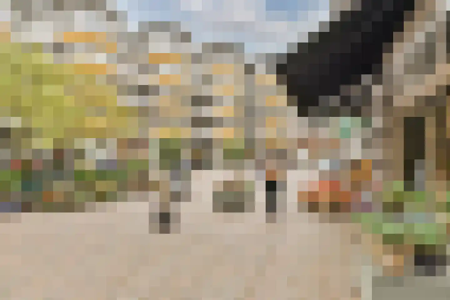 Anjelierstraat 36 Wierden thumbnail 55