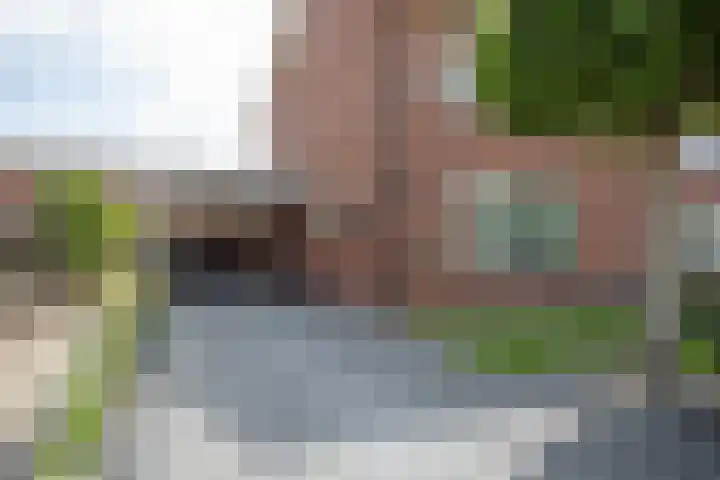 Anjelierstraat 36 Wierden thumbnail 6