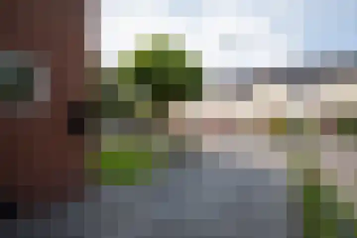 Anjelierstraat 36 Wierden thumbnail 7