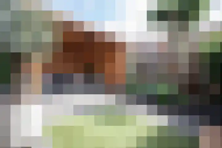 Anjelierstraat 36 Wierden thumbnail 9