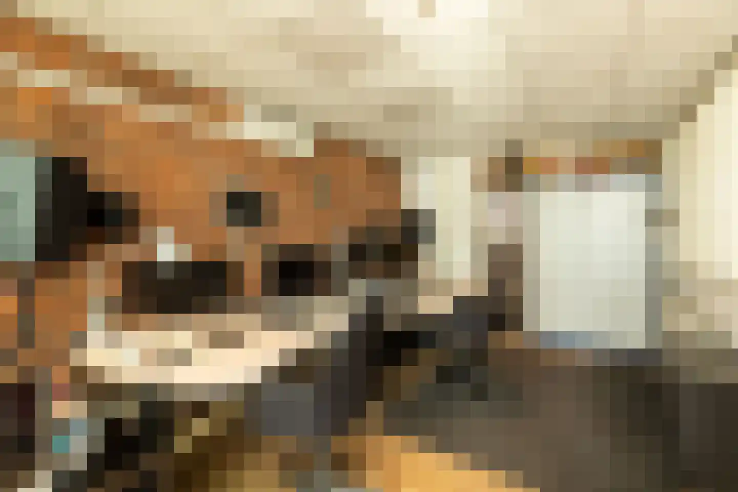 Anjelierstraat 4 Hilversum thumbnail 18