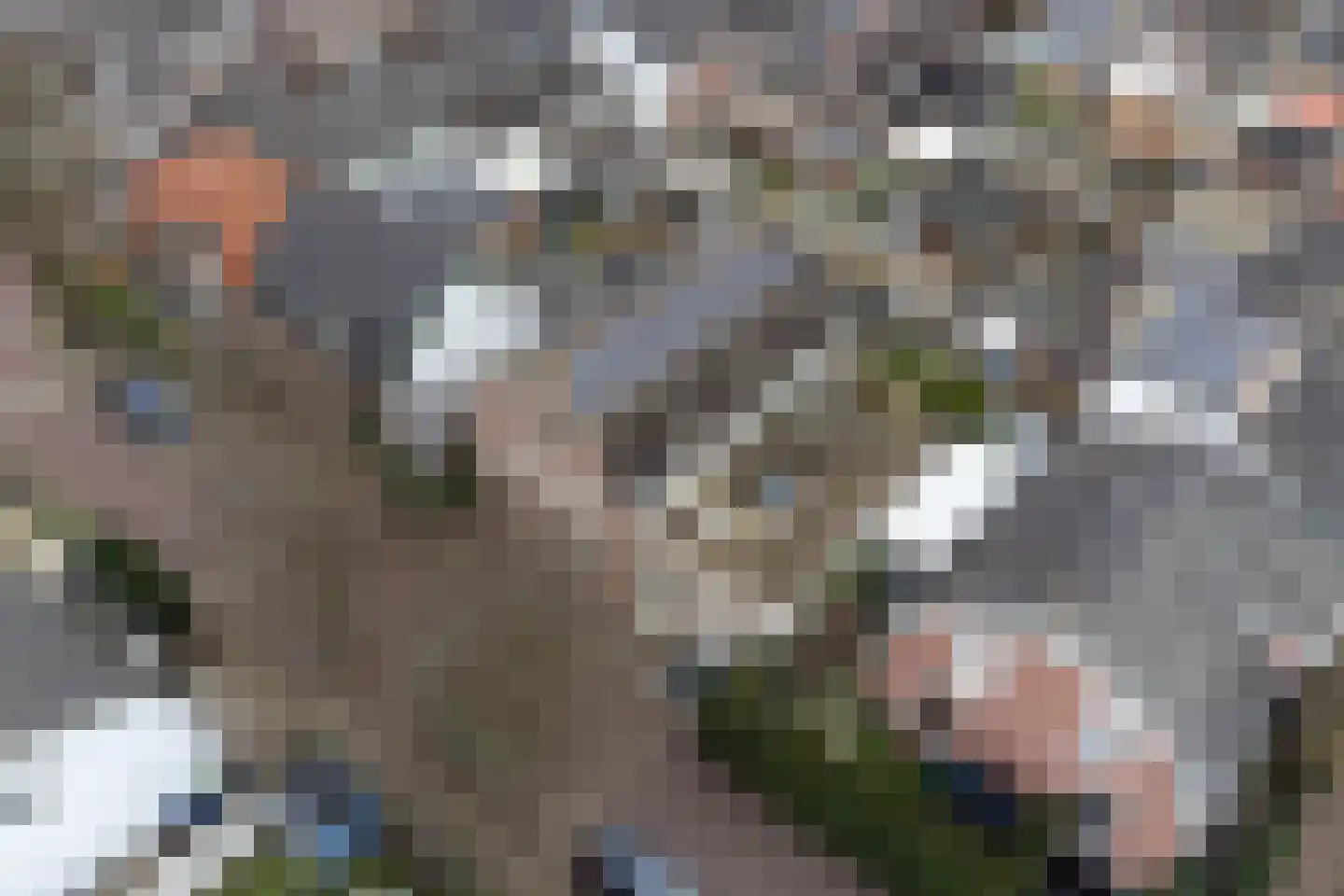 Anjelierstraat 4 Hilversum thumbnail 25