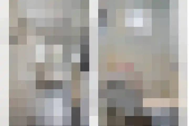 Anjelierstraat 44 Goes thumbnail 10