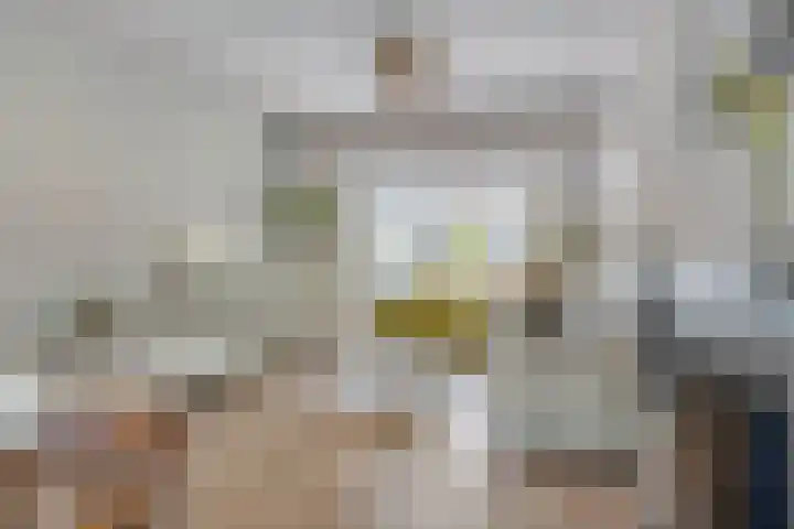 Anjelierstraat 44 Goes thumbnail 12