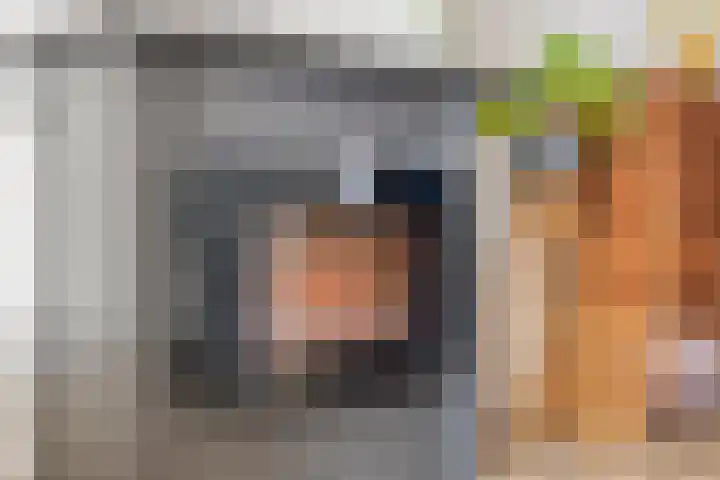 Anjelierstraat 44 Goes thumbnail 13