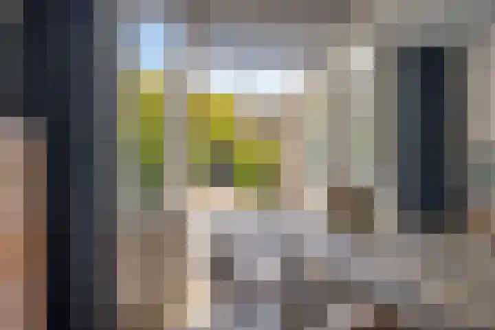 Anjelierstraat 44 Goes thumbnail 16