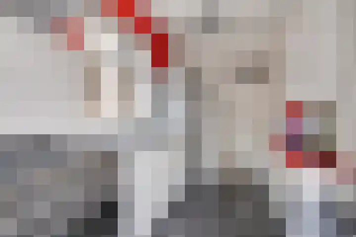 Anjelierstraat 44 Goes thumbnail 19