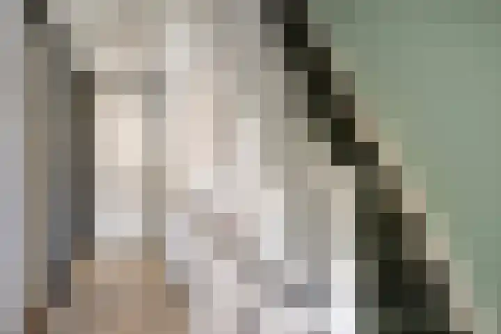 Anjelierstraat 44 Goes thumbnail 22