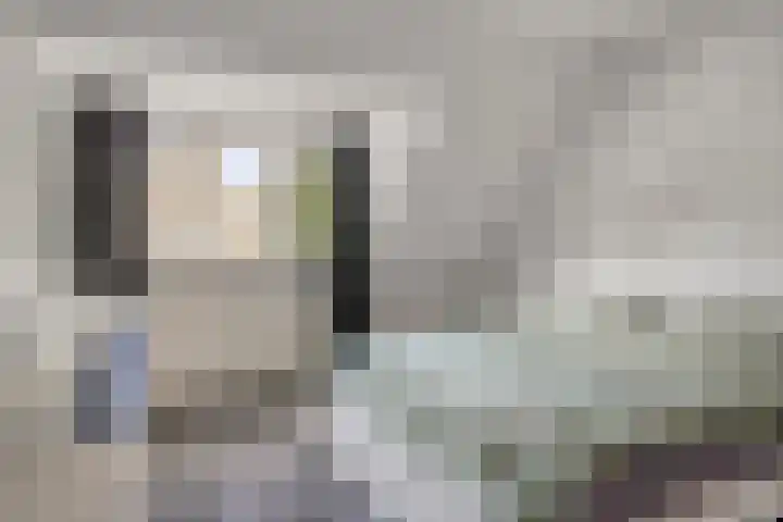 Anjelierstraat 44 Goes thumbnail 23