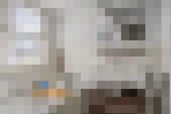 Anjelierstraat 44 Goes thumbnail 26