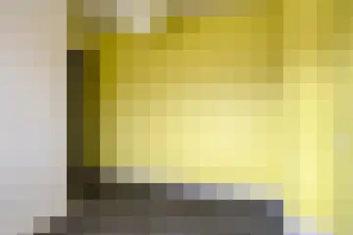 Anjelierstraat 44 Goes thumbnail 29