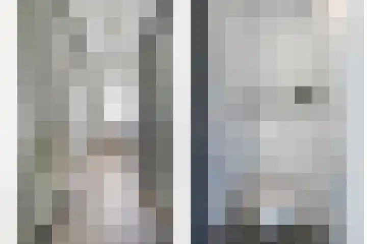 Anjelierstraat 44 Goes thumbnail 30