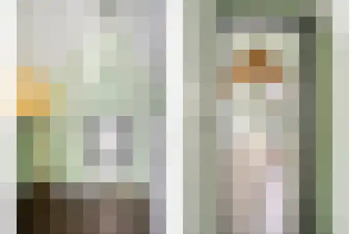 Anjelierstraat 44 Goes thumbnail 31
