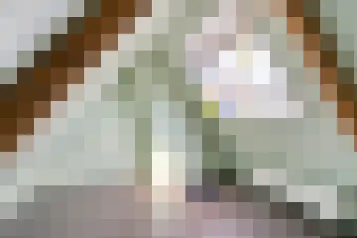 Anjelierstraat 44 Goes thumbnail 32