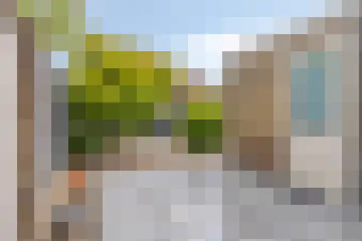Anjelierstraat 44 Goes thumbnail 34