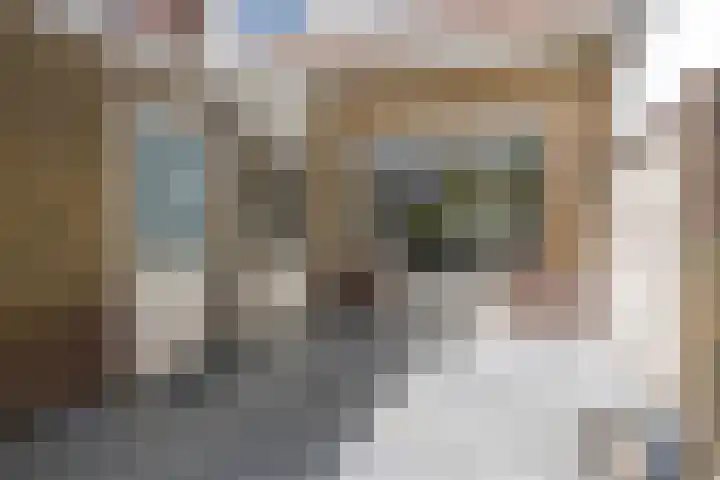 Anjelierstraat 44 Goes thumbnail 36