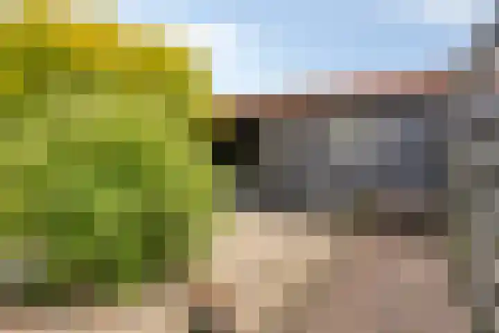 Anjelierstraat 44 Goes thumbnail 37