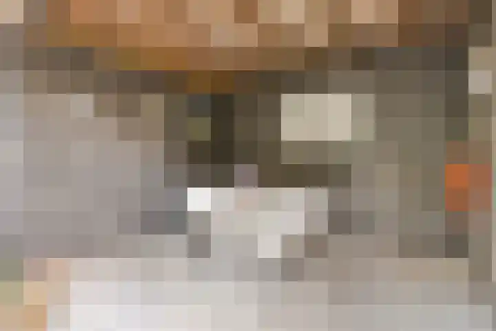 Anjelierstraat 44 Goes thumbnail 38