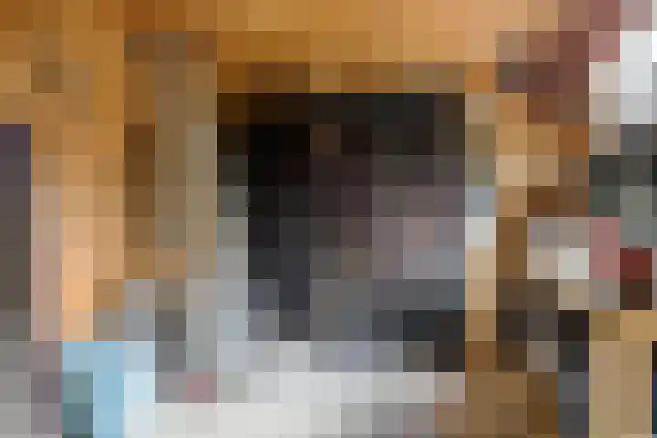 Anjelierstraat 44 Goes thumbnail 40
