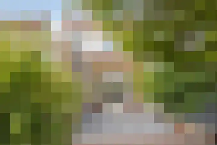 Anjelierstraat 44 Goes thumbnail 41