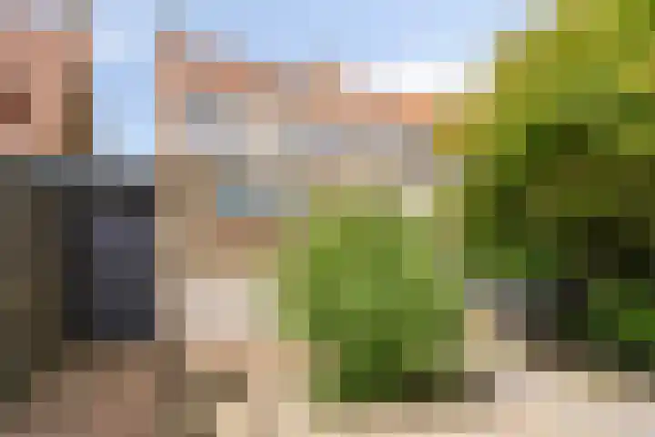 Anjelierstraat 44 Goes thumbnail 42