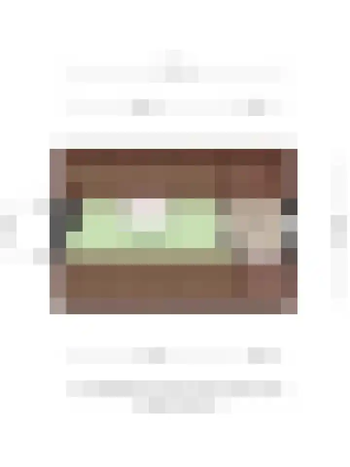 Anjelierstraat 44 Goes thumbnail 45