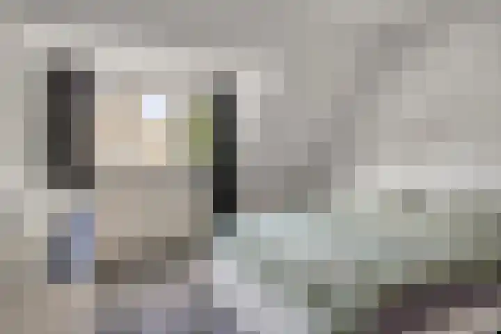 Anjelierstraat 44 Goes thumbnail 5