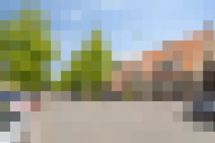 Anjelierstraat 44 Goes thumbnail 7