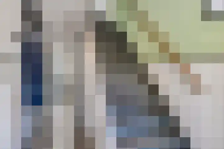 Anjelierstraat 44 Goes thumbnail 9