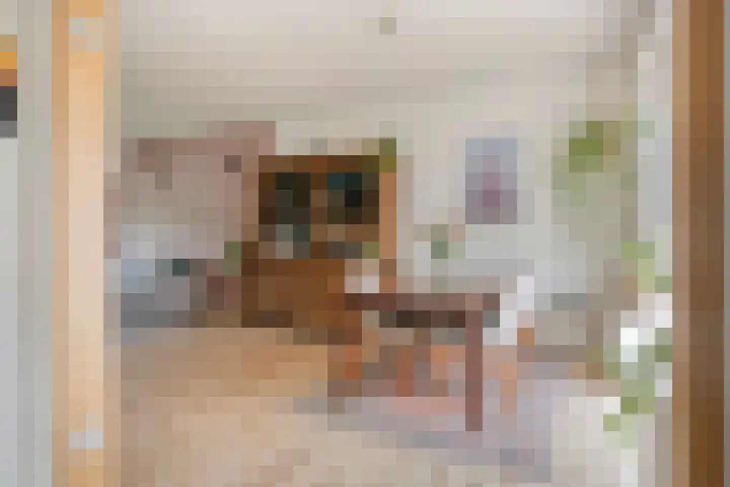 Anjelierstraat 48 Goes thumbnail 10
