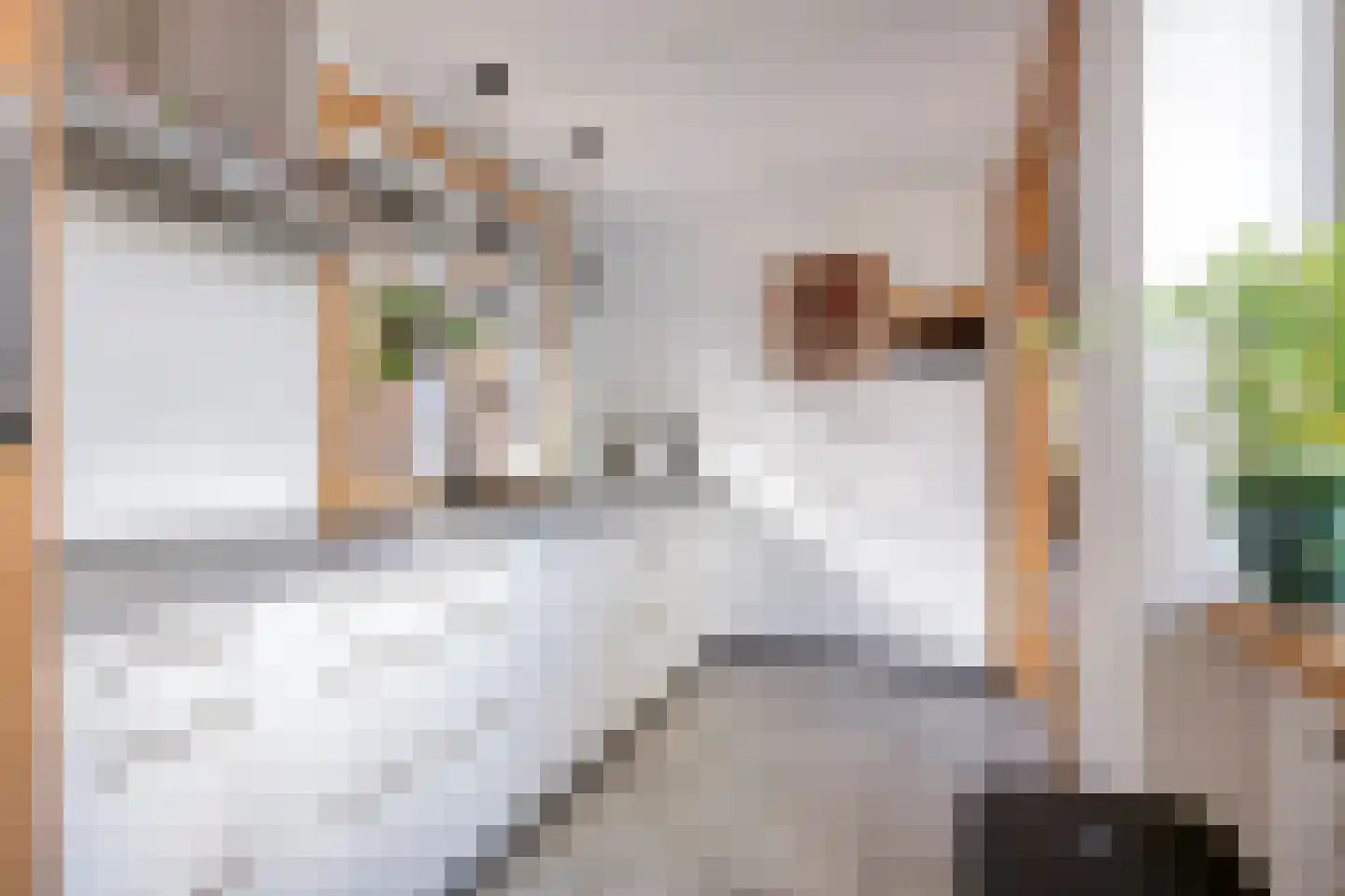 Anjelierstraat 48 Goes thumbnail 11