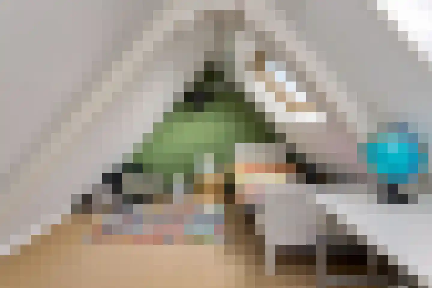 Anjelierstraat 48 Goes thumbnail 20