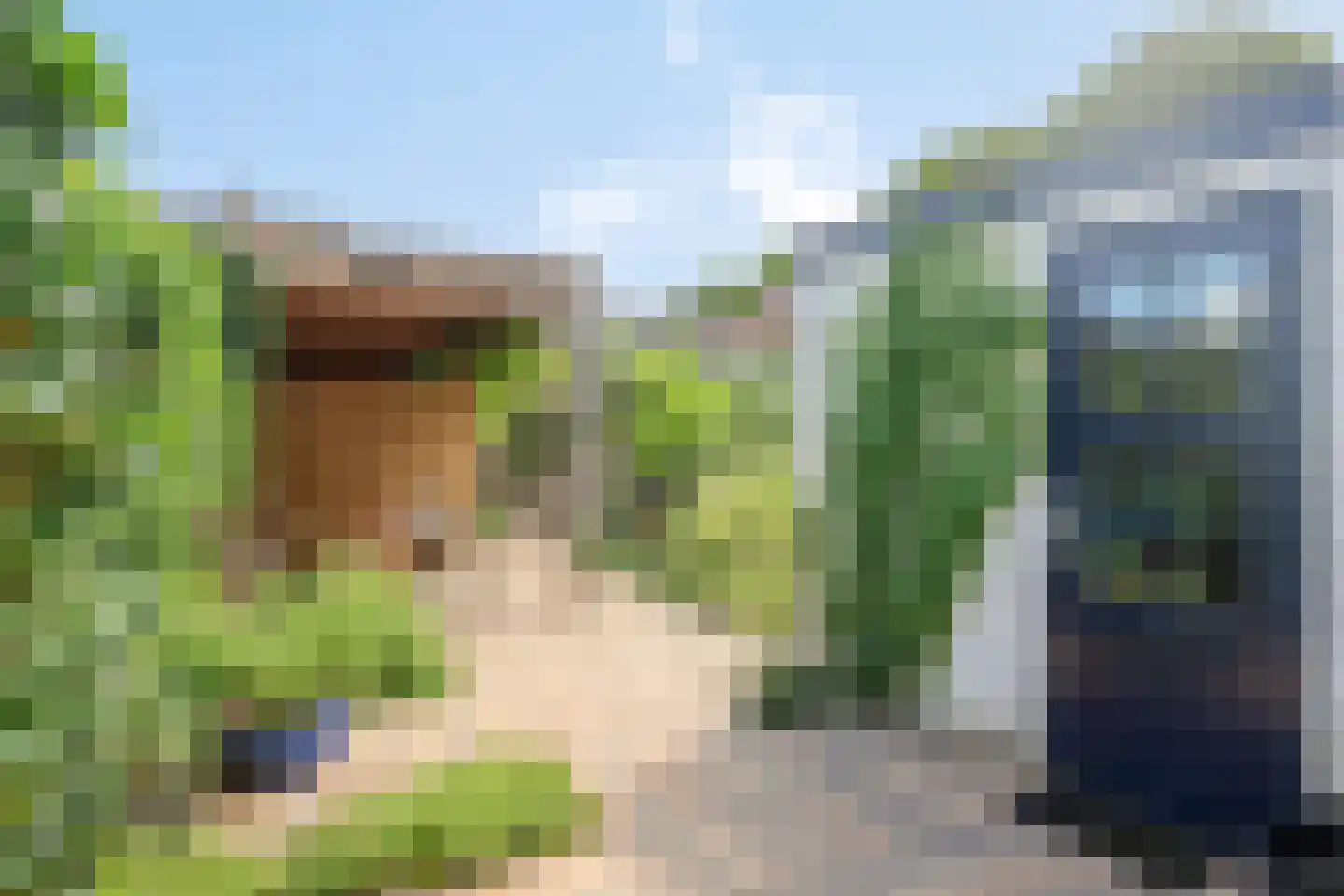 Anjelierstraat 48 Goes thumbnail 22