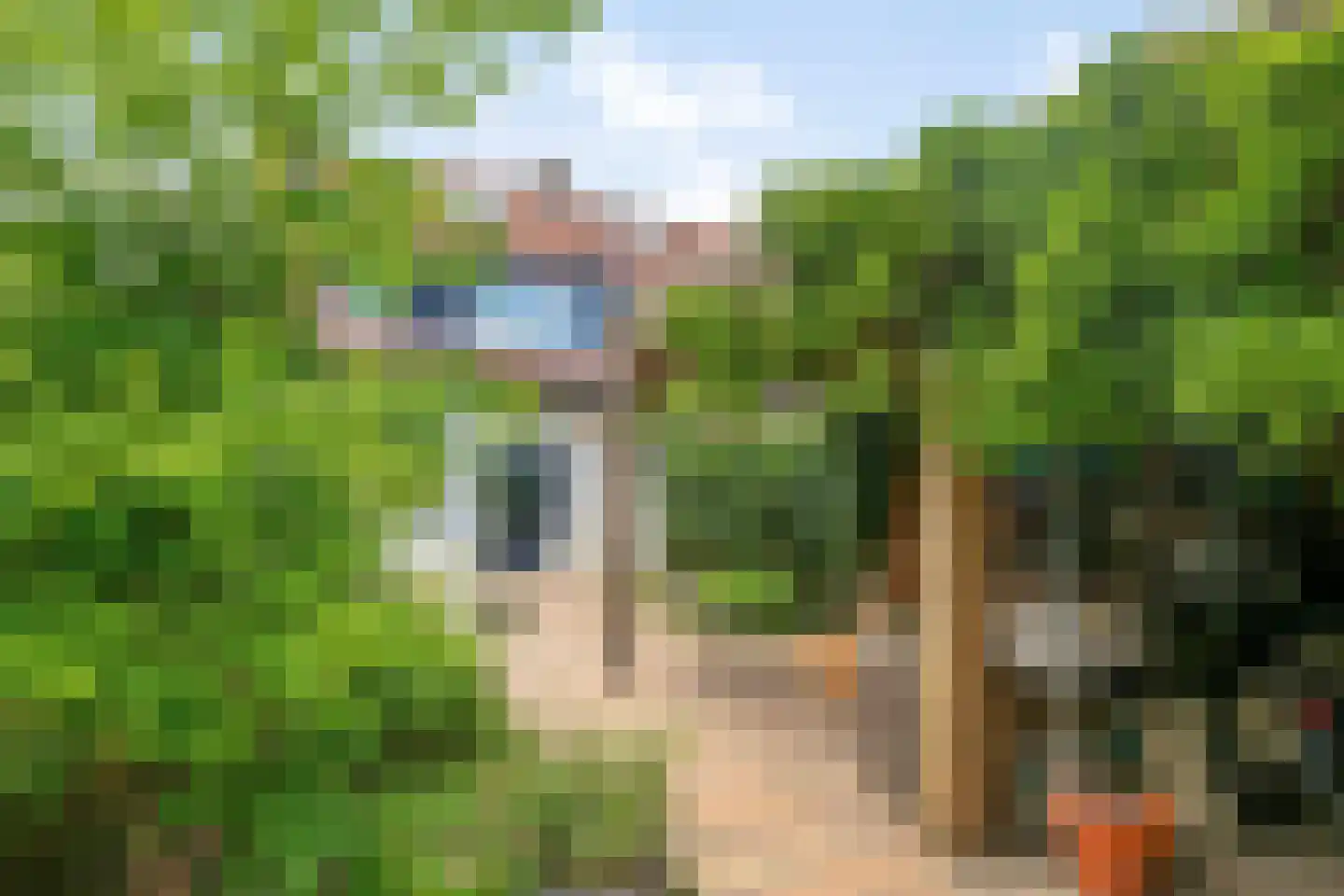 Anjelierstraat 48 Goes thumbnail 25